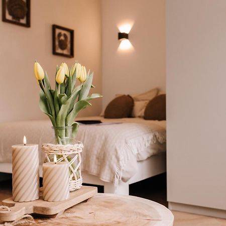 Casa La Vida Beach House & Free Bikes ザントフォールト エクステリア 写真
